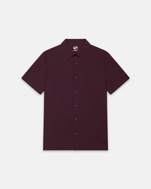 DAILY SOFTECH - AUBERGINE
